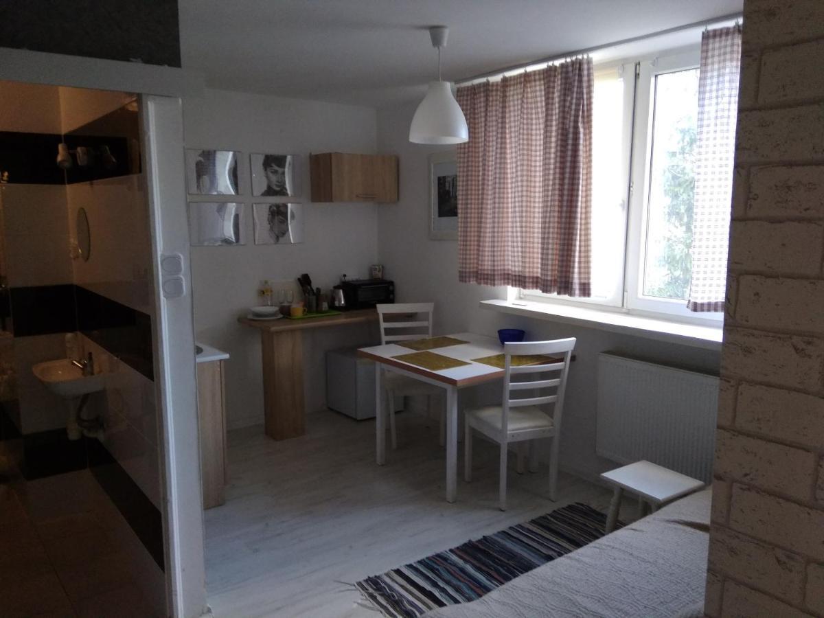 Apartament Jasny Noclegi Płock Extérieur photo